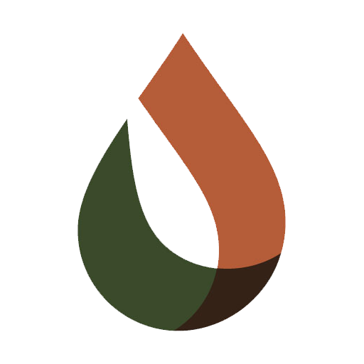 Brasil Medicina Diagnóstica logo