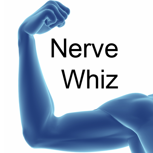 Nerve Whiz logo