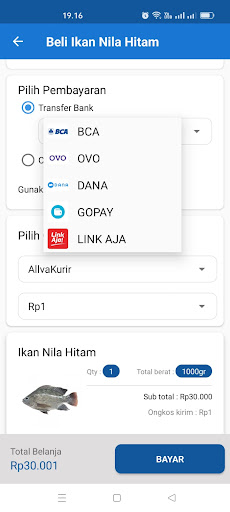Allva Fresh Screen 3