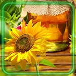 Cover Image of Download Honey Wallpaper  APK