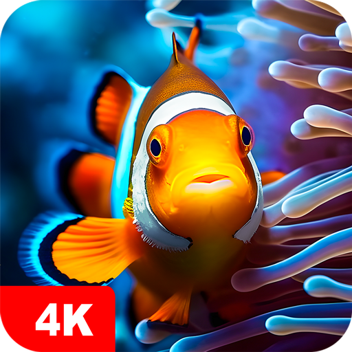 Fish Wallpapers 4K – Apps on Google Play