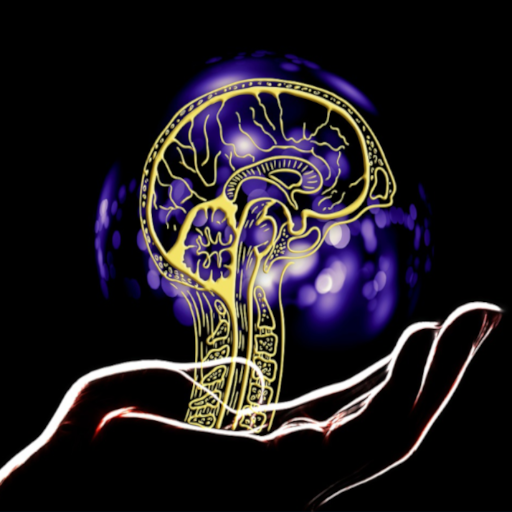 EduVerse SA logo