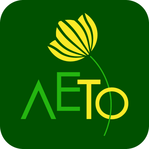 ЛЕТО logo