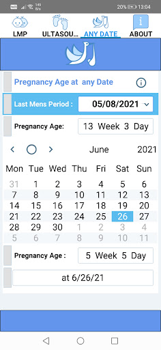 Pregnancy Age Calculator Screen 3