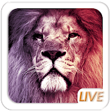 Cool Lion Live wallpaper icon