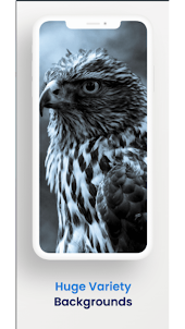 4D Eagle bird wallpaper