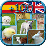 Cover Image of Download ANIMALES - ANIMALS 1.2 APK