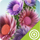 Best Flower Wallpapers HD icon