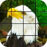 Eagles Puzzle Games icon
