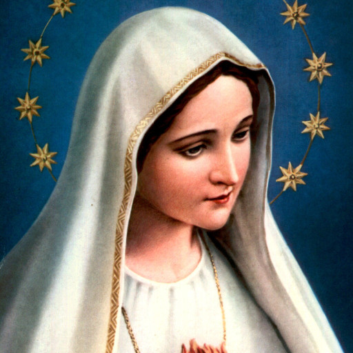 Holy Rosary and prayers logo