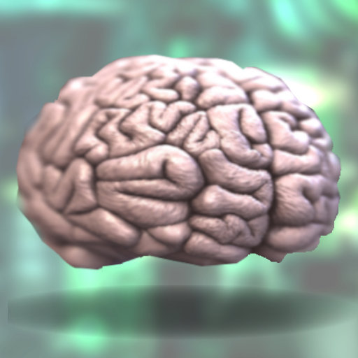 Brain Swap Google Play のアプリ