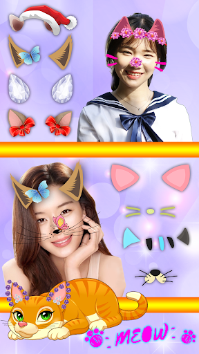 Cara del Gato Cámara de Fotos ? Pegatinas Lindas