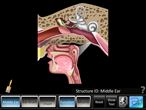 Android application Middle Ear ID screenshort