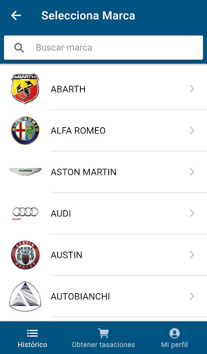 Tasador Coches Screen 3