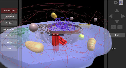 3D Virtual Cell Screen 2