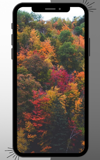 Autumn Wallpaper Screen 3