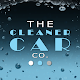 The Cleaner Car Co. Unduh di Windows