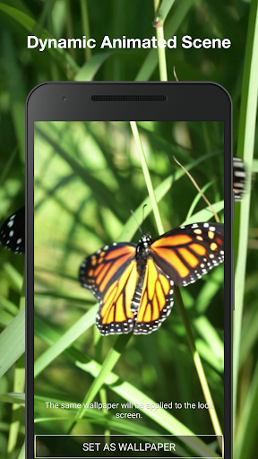 Butterflies Live Wallpaper Pro Screen 2