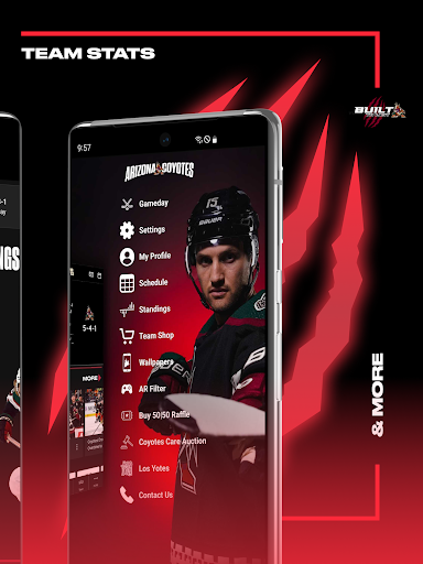 Screenshot of Arizona Coyotes