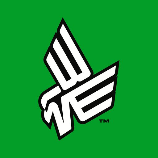 BAD NEWS EAGLES logo
