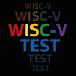 WISC-V Test Practice Pro
