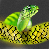 Colorful Snake Live Wallpaper icon
