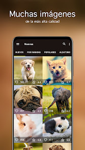Captura de Pantalla 2 Fondos com animales lindos 4K android