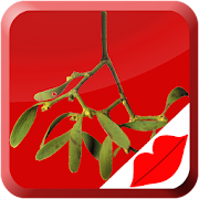 Mistletoe Kiss