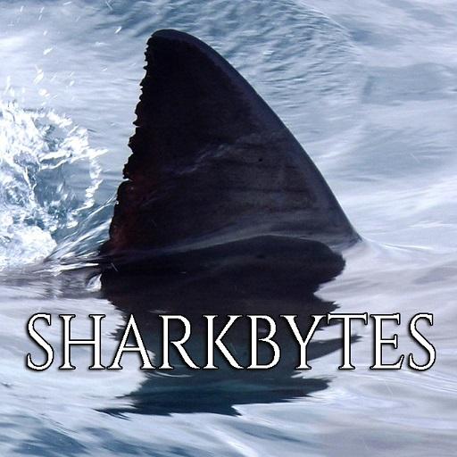 Shark Bytes - Apps on Google Play