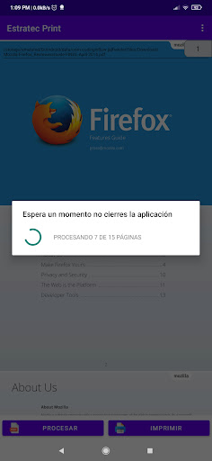 Estratec Print Screen 3