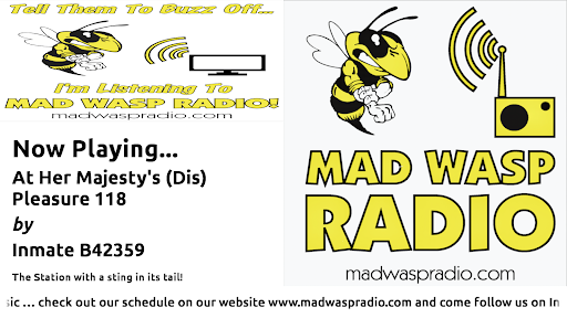 Mad Wasp Radio Screen 3