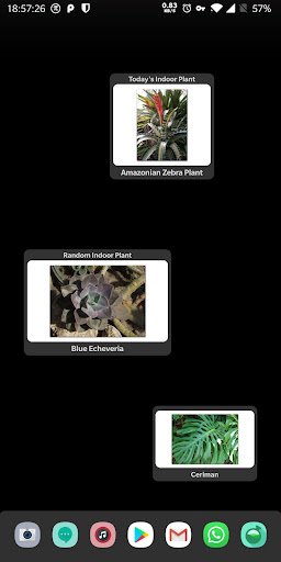 Indoor Plant Widget Screen 2