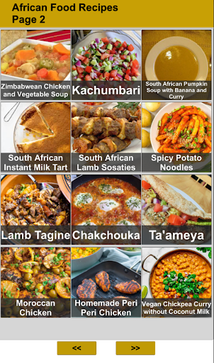 African Food Recipes Screen 2