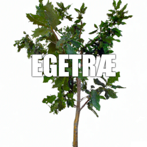Egetræ klikker logo