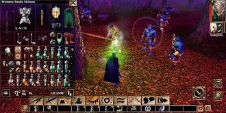 Game screenshot Neverwinter Nights: Enhanced hack