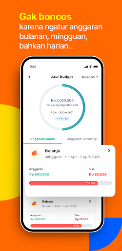 Sribuu: Budget & Money Manager screenshot 12
