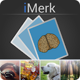 iMerk - Memory Game icon