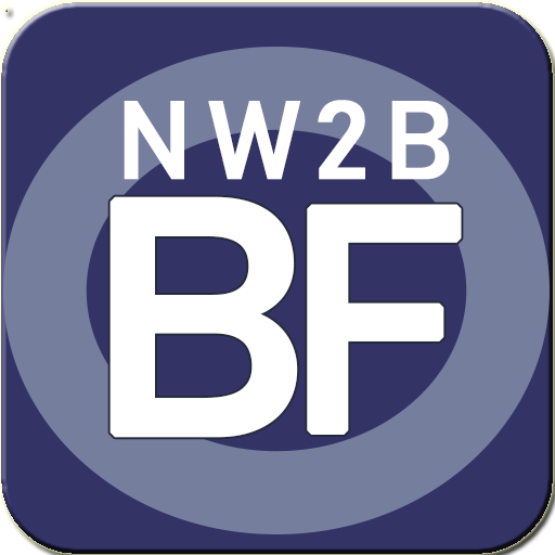 NetWorth2b Budget & Flow 2.0-P logo