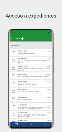 PJRN Puma Screen 2