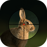 Rabbit Hunting Calls icon