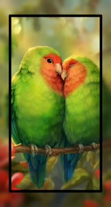 Animal and Bird Wallpaper HD