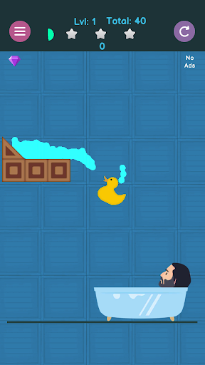 Brain Games Duck Puzzle