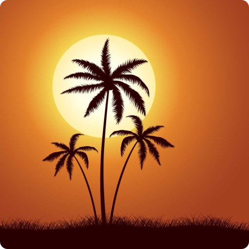 Summer Wallpapers 1.1 Icon