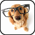 Dog Breeds Encyclopedia 1.2-1006
