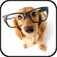 Dog Breeds Encyclopedia विंडोज़ पर डाउनलोड करें
