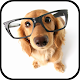 Dog Breeds Encyclopedia ดาวน์โหลดบน Windows