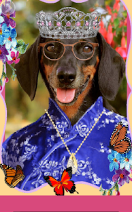 Pretty Dogs(圖7)-速報App
