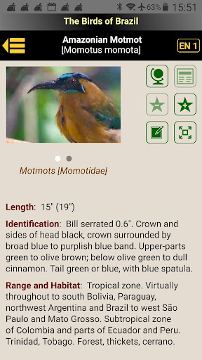 The Birds of Bolivia Screen 2