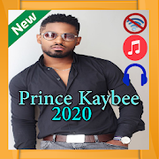 Prince Kaybee MP3 2020