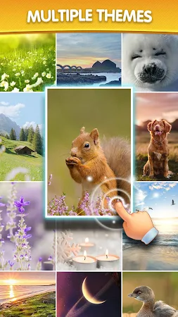 Game screenshot Number Bubble Shooter apk download